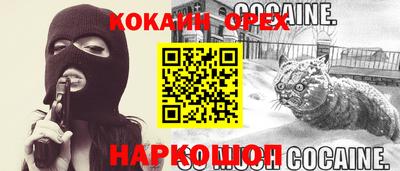 мяу мяу мука Малгобек