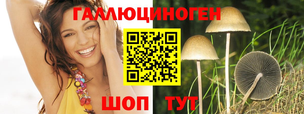 Псилоцибиновые грибы GOLDEN TEACHER  Вход с VPN  Гусев  Псилоцибиновые грибы ЛСД 