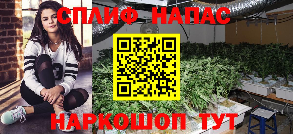 Шишки марихуана план  Марихуана SATIVA & INDICA  Вход с VPN  Гусев 