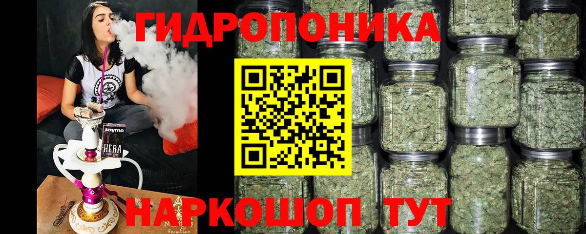 Канабис семена Гусев